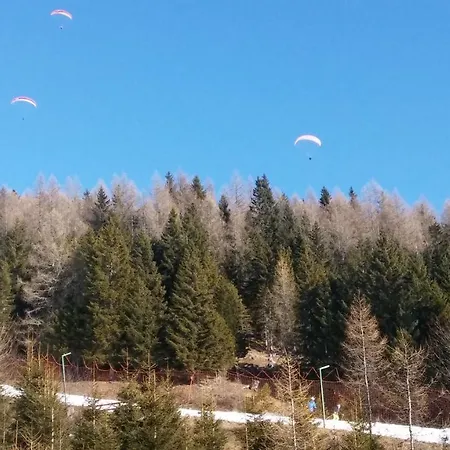 Almhaus Hofer * Treffen